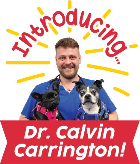 Introducing Dr. Calvin Carrington